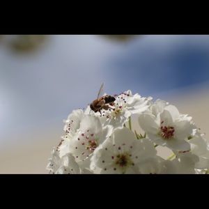 Meet your Posher, Kailey